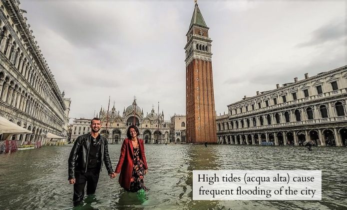 The Venice Case – Étui de téléphone minimaliste en chêne vieux de 500 ans | Fait main et durable