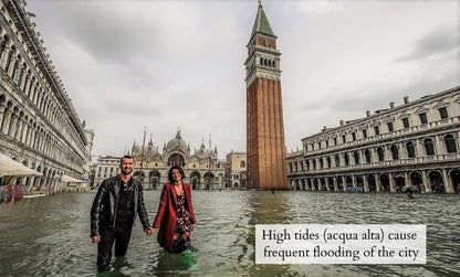 The Venice Case – Étui de téléphone minimaliste en chêne vieux de 500 ans | Fait main et durable
